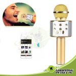 Wireless Microphone With Speaker