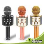 Wireless Microphone With Speaker Price in Pakistan