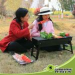 BBQ Grill In Pakistan