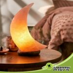 Pink Salt Lamp