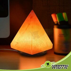 Pink Salt Lamp