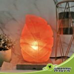 Pink Salt Lamp