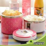 2 Layer Stainless Steel Lunch Box