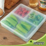 Fridge Container Box