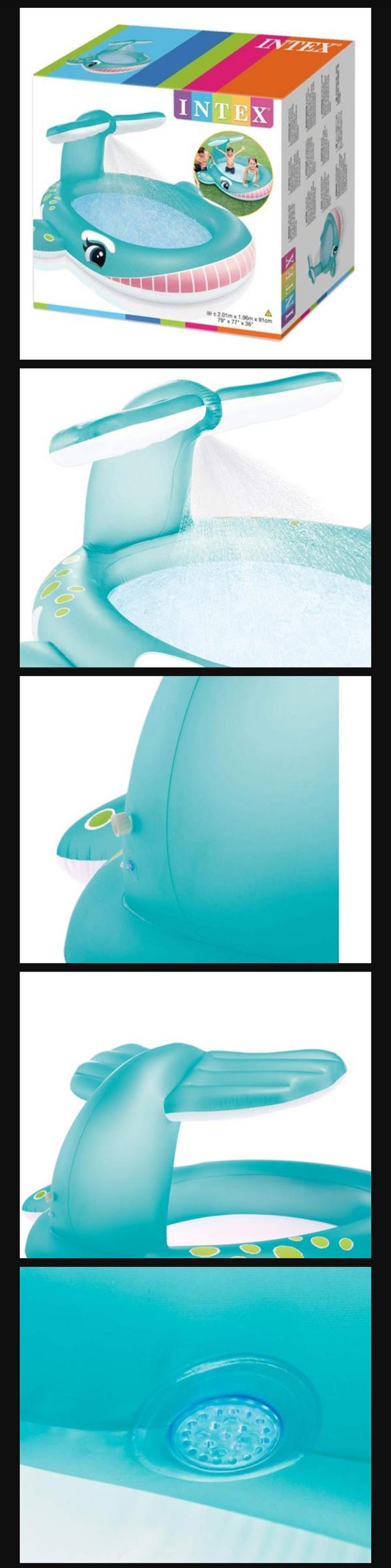 Whale Intex Pool