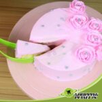 Plastic Cake Server